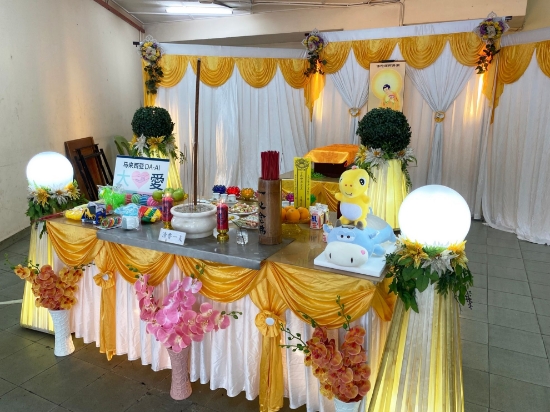 Picture of (CAMPAIGN CLOSED) BENEFICIARY PROFILE 1414 7-MONTH-OLD BABY