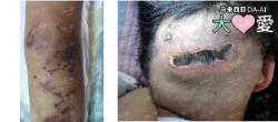 Picture of BENEFICIARY PROFILE 971 LAU YEN CHEN