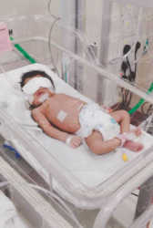 Picture of (CAMPAIGN CLOSED) BENEFICIARY PROFILE 1665 LAI PEK HLU