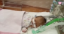 Picture of BENEFICIARY PROFILE 1700 BABY ALIFA