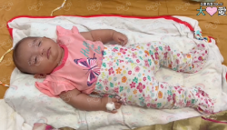 Picture of (CAMPAIGN CLOSED) BENEFICIARY PROFILE 1708 NUR HUMAIRA AZZAHRA BINTI JAMALUDDI