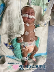 Picture of BENEFICIARY PROFILE 1750 MUHAMMAD SETH FAYYADH