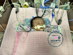 Picture of BENEFICIARY PROFILE 1893 BABY OF PAN CHIT