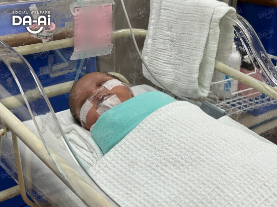 Picture of BENEFICIARY PROFILE 2040 BABY OF WAHYU PUTRI NINGSIH