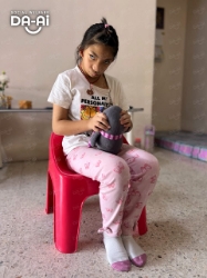 Picture of FUNDRAISING CASE 2230 GOH MEI CHU