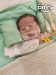 Picture of FUNDRAISING CASE 2407 CHAN YANNIE