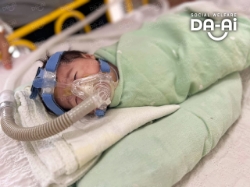Picture of FUNDRAISING CASE 2407 CHAN YANNIE